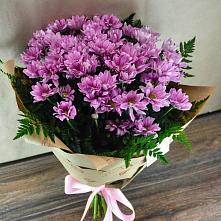 Букет цветов из:  Хризантемы #REPLACE_PRED# Кольцово