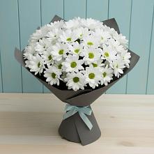 Букет цветов из:  Хризантемы в Кольцово