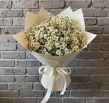 Букет цветов из:  Ромашки в Кольцово