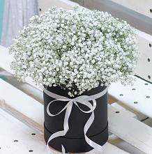 Цветочная композиция из Гипсофила в шляпной коробке #REPLACE_PRED# Кольцово