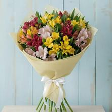 Букет цветов из:  Альстромерии в Кольцово