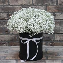 Цветочная композиция из Гипсофила в шляпной коробке #REPLACE_PRED# Кольцово