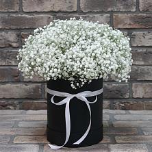 Цветочная композиция из Гипсофила в шляпной коробке в Кольцово