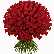 Букет Красные розы Чери Лав #REPLACE_PRED# Кольцово