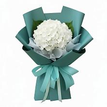 Букет цветов из:  Гортензия #REPLACE_PRED# Кольцово